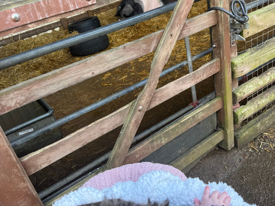 Thrift Farm-Whaddon必去景点