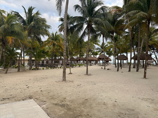 Family Selection at Grand Palladium Kantenah Resort & Spa