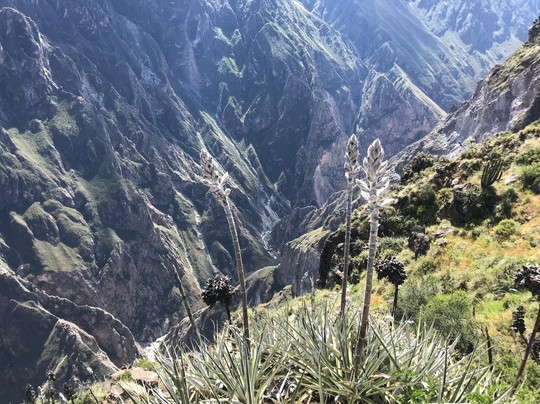 Transportes Turisticos Arequipa, Peru-Cayma必去景点