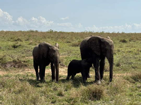 Kobe House Mara主图