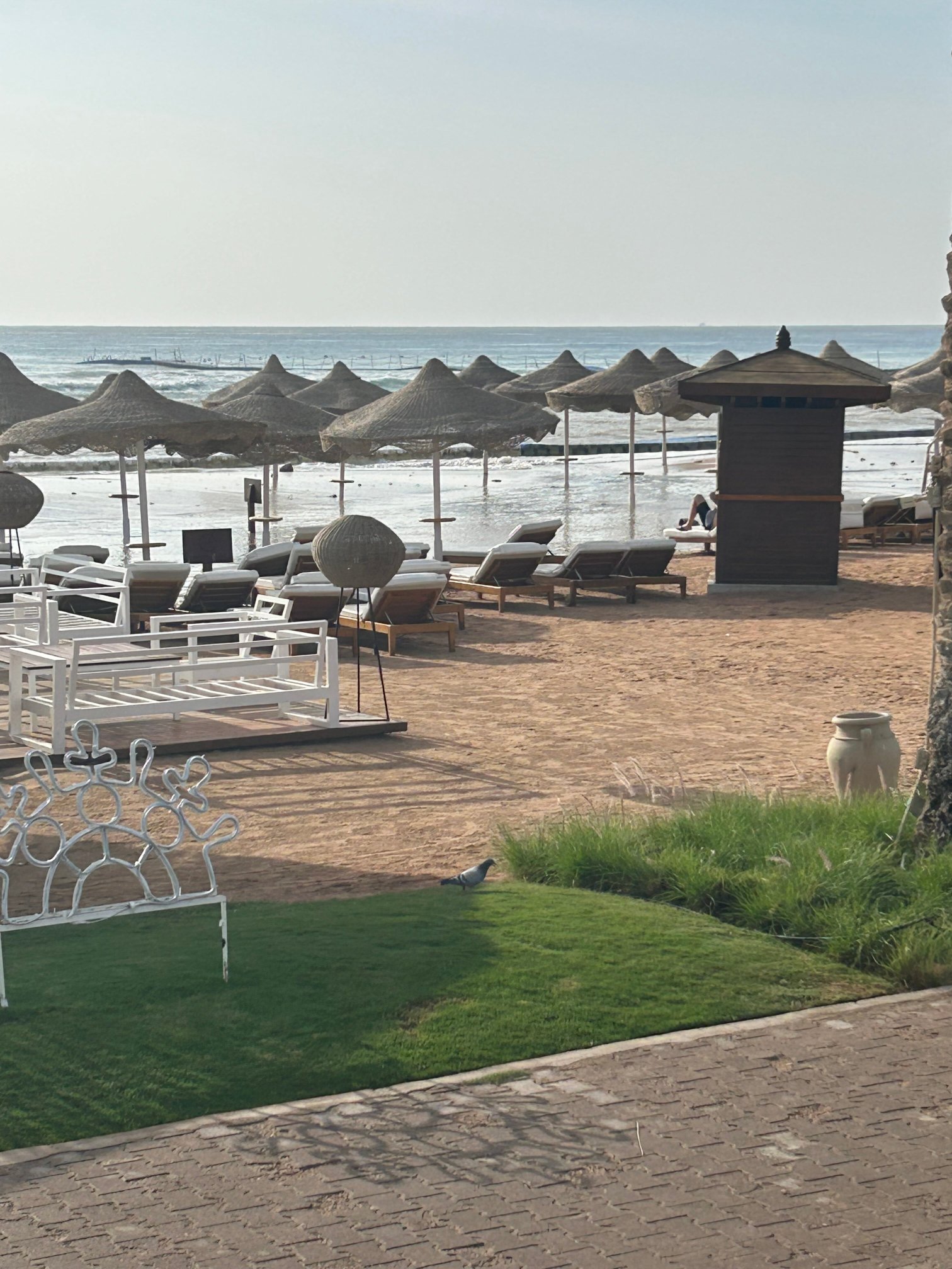 沙姆沙伊赫巴伦棕榈成人度假酒店-泳池