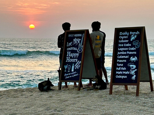 Shelter Beach Restaurant