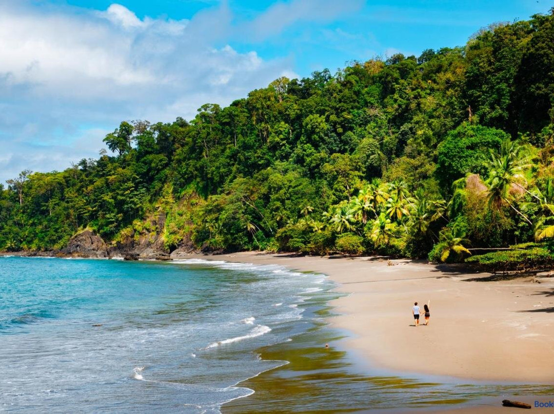 Scp Corcovado Wilderness Lodge