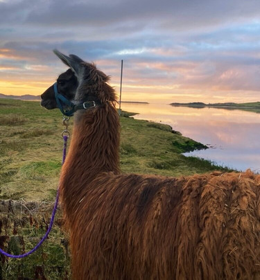Campview Farm-Ballyshannon必去景点