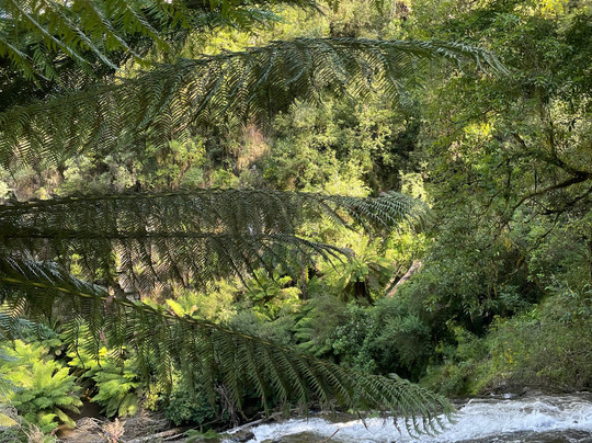 Tarra Falls-Tarra Valley必去景点