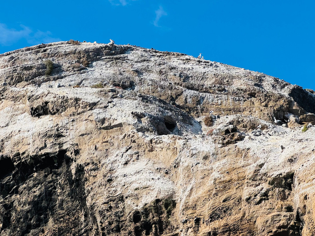 Turtle Island-维里亚米尔港必去景点