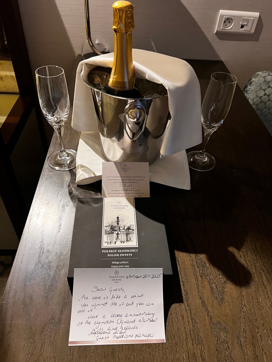 华沙喜来登大酒店-客卧