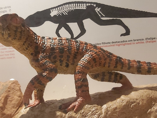 Museu de Paleontologia de Fernandópolis-Fernandopolis必去景点