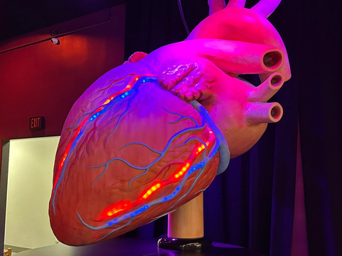 健康博物馆-休斯顿必去景点