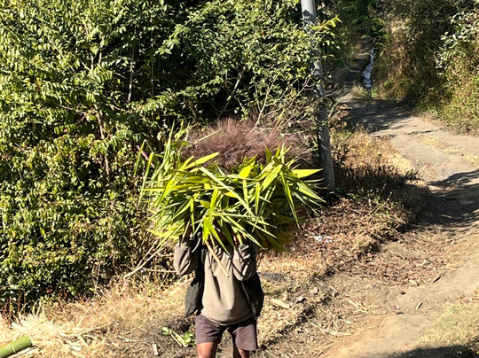 Beyond Borders Ethical Adventures-加德满都必去景点