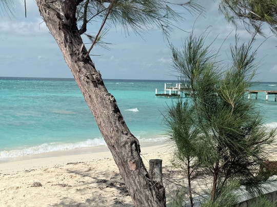 Papa J Tours-Cockburn Town必去景点