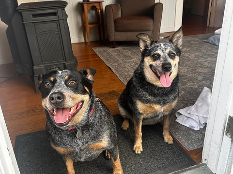 斯库尔屋旅馆主图