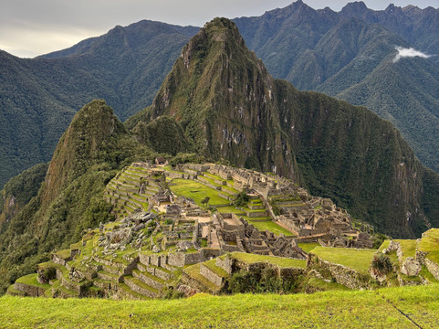 Alpaca Expeditions-库斯科必去景点