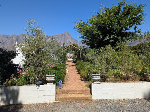 Camberley Wines-斯泰伦博斯必去景点