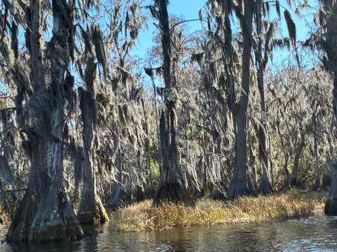 Catboat Escapes-Clermont必去景点