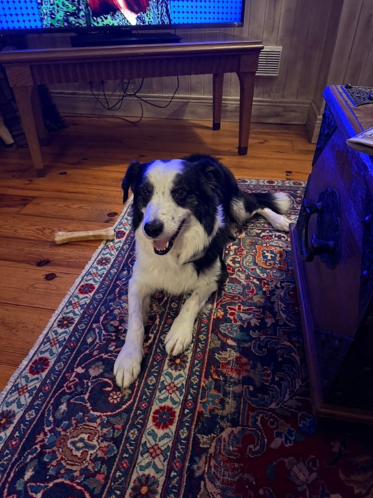 Galgorm Resort-官方