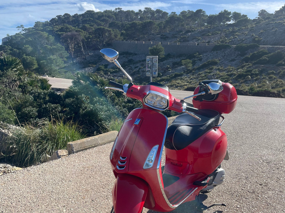 Vespa Rental Alcudia| Vespa Lovers-阿尔库迪亚港必去景点