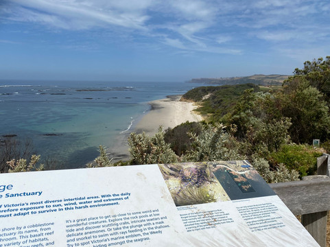Mushroom Reef Marine Sanctuary-弗林德斯必去景点