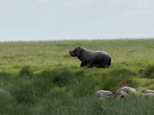 Tanzania Specialist-阿鲁沙必去景点