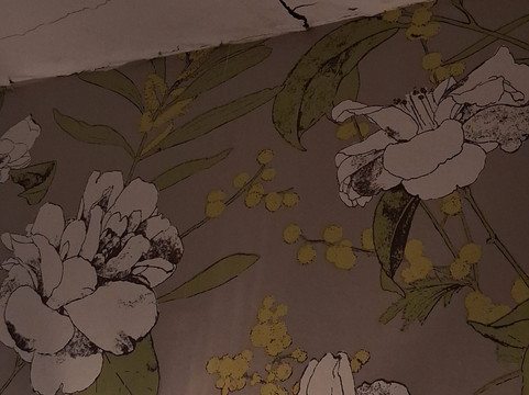 Lansdowne Strand主图