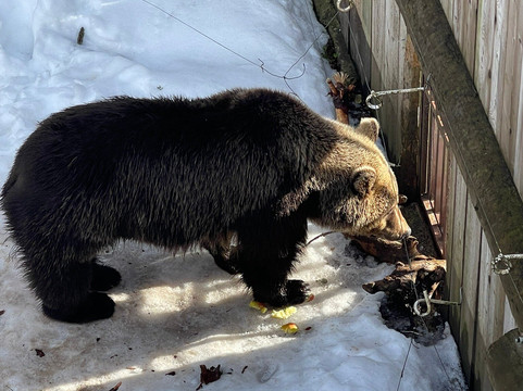 Juraparc-Vallorbe必去景点