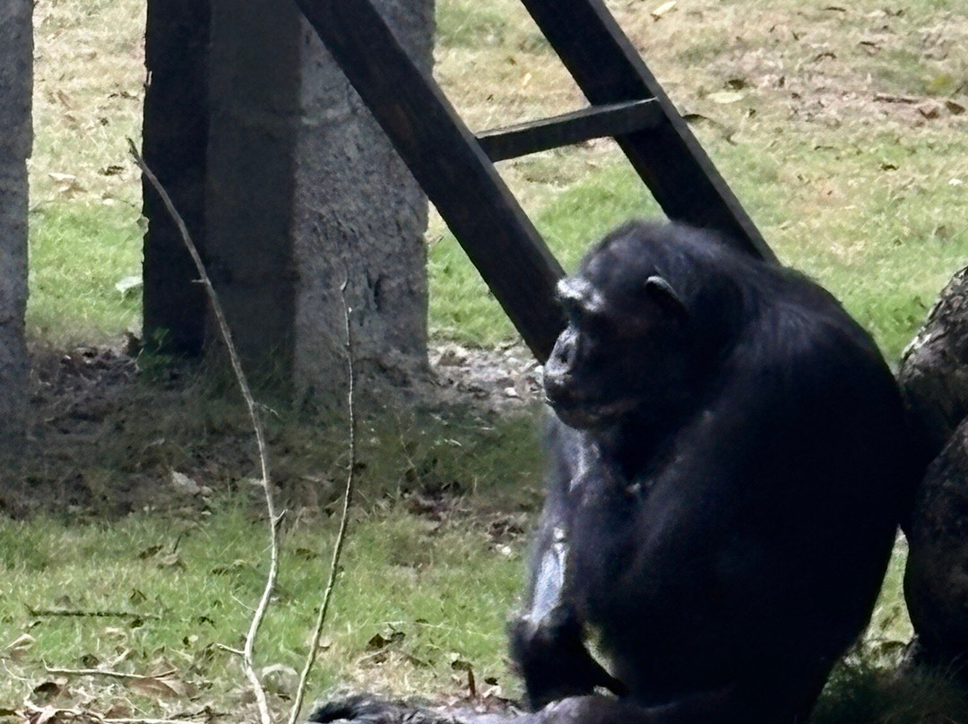 National Zoological Park-圣多明哥必去景点