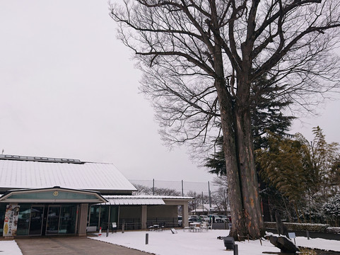Mizuho-Cho, Local Museum, Keyakikan-瑞穗町必去景点