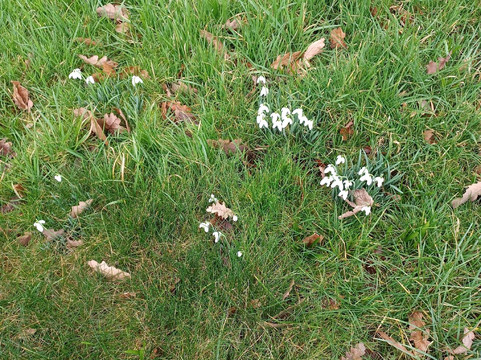 Euxton parish church-Whittle-le-Woods必去景点
