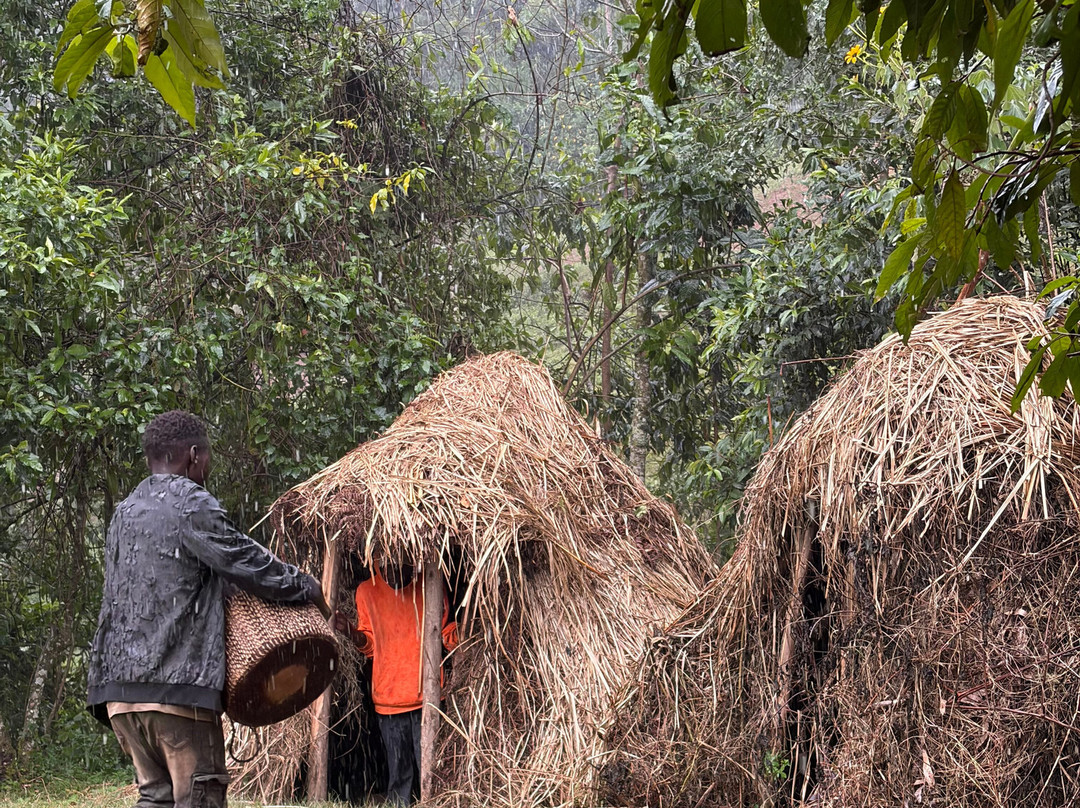 Gorilla Safari Consultants-坎帕拉必去景点