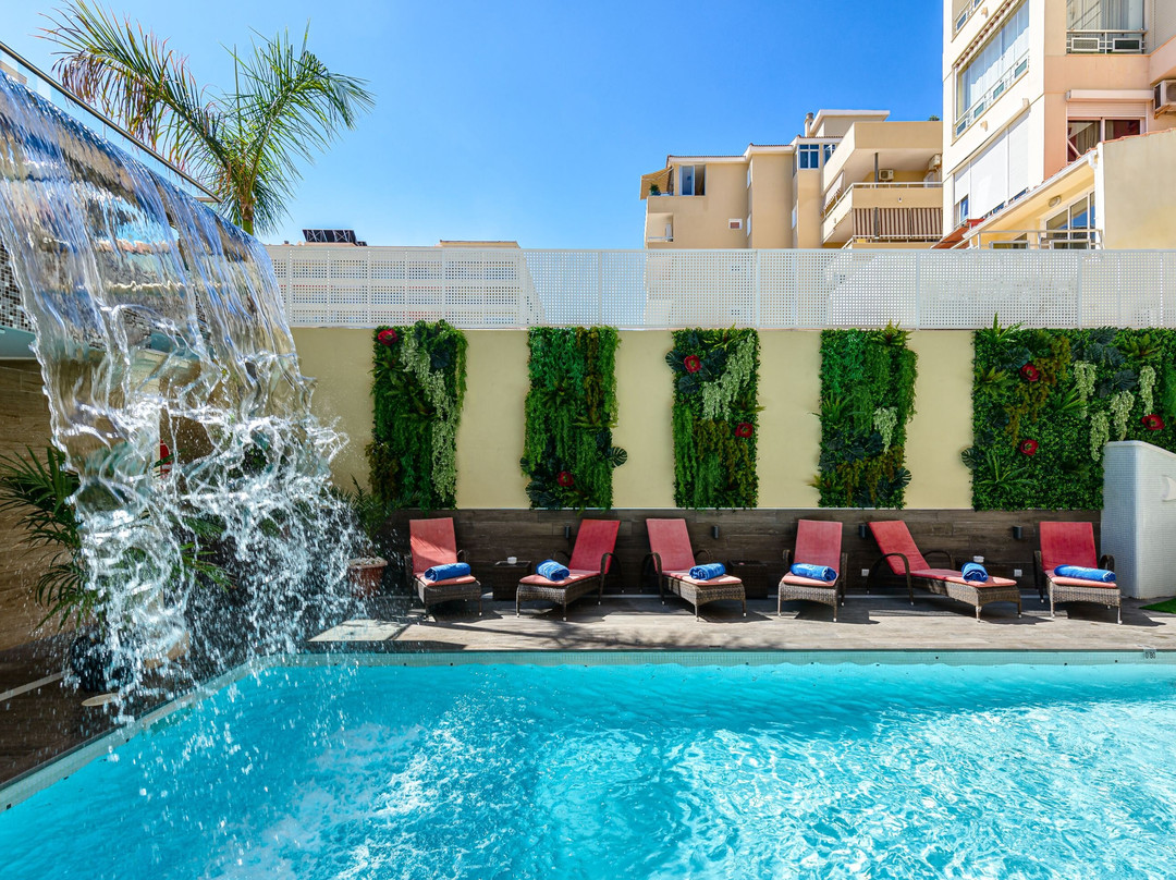 梦之月托雷莫里斯- 推荐成人主图