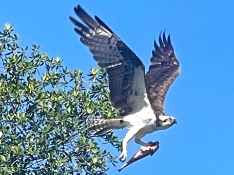 La Paseadora del Río Espíritu Santo-Rio Grande必去景点