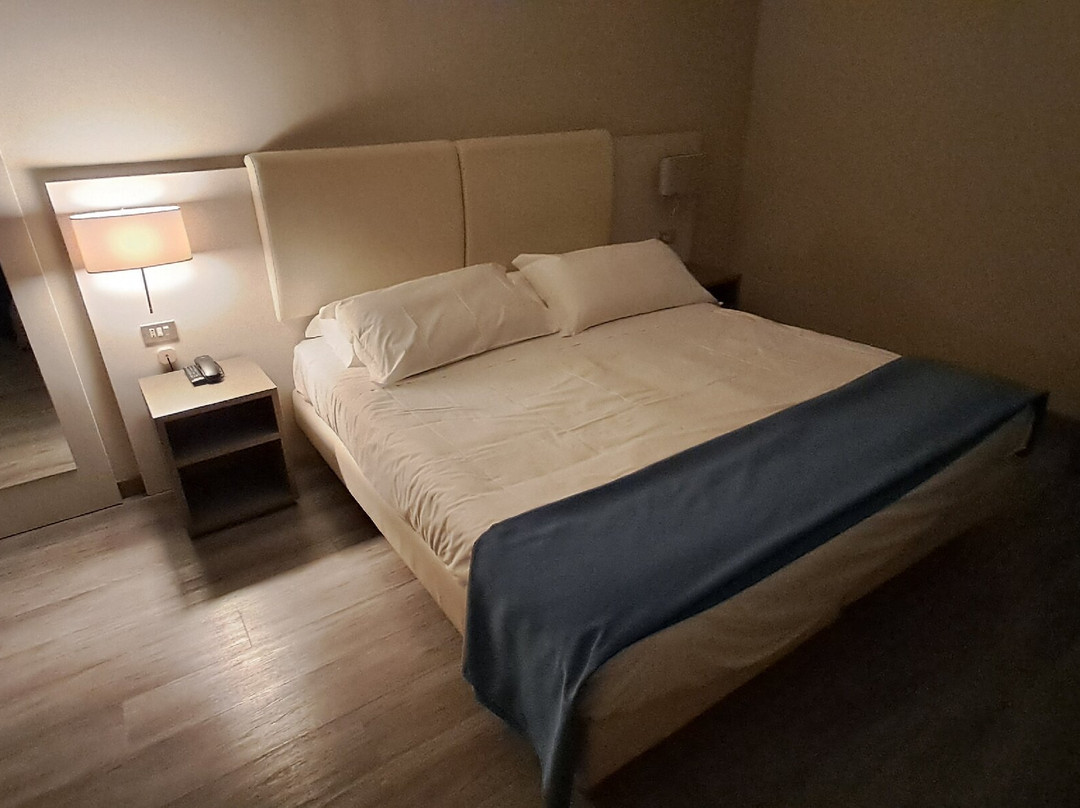 奥利吉欧马尔彭萨酒店主图