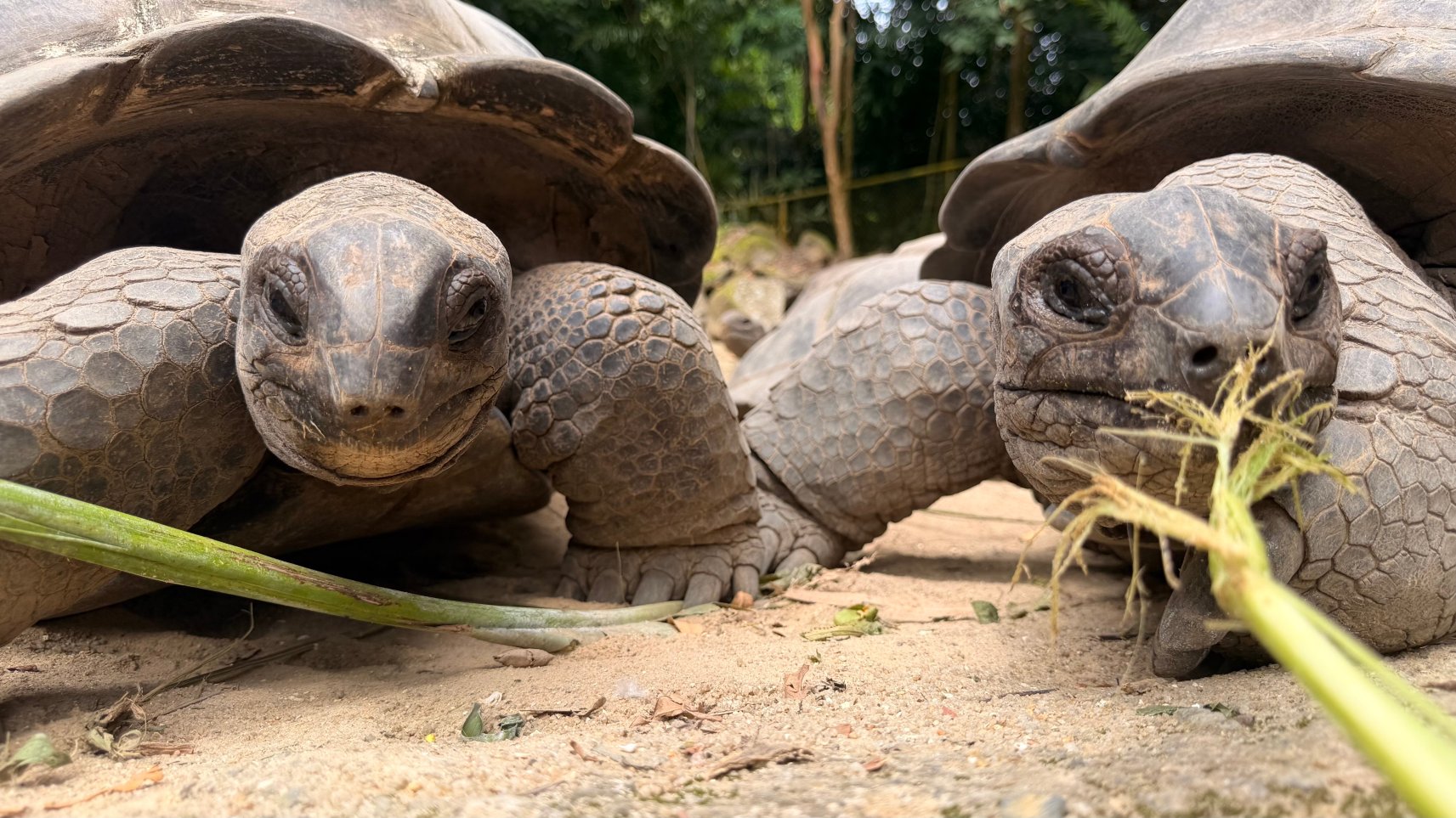 瑟夫岛度假村-浴室
