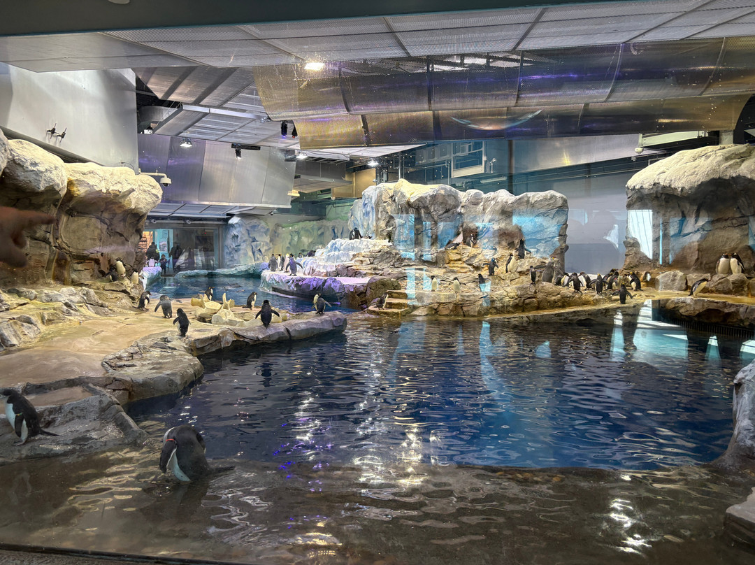 Detroit Zoo-罗亚尔奥克必去景点