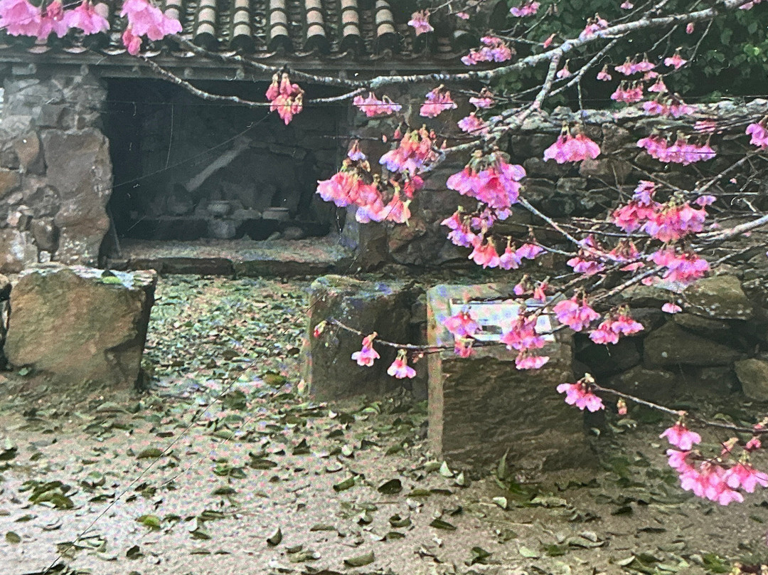 今归仁城遗址-今归仁村必去景点