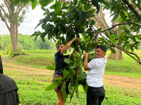 Bohol Chocolate Farm-Sagbayan必去景点