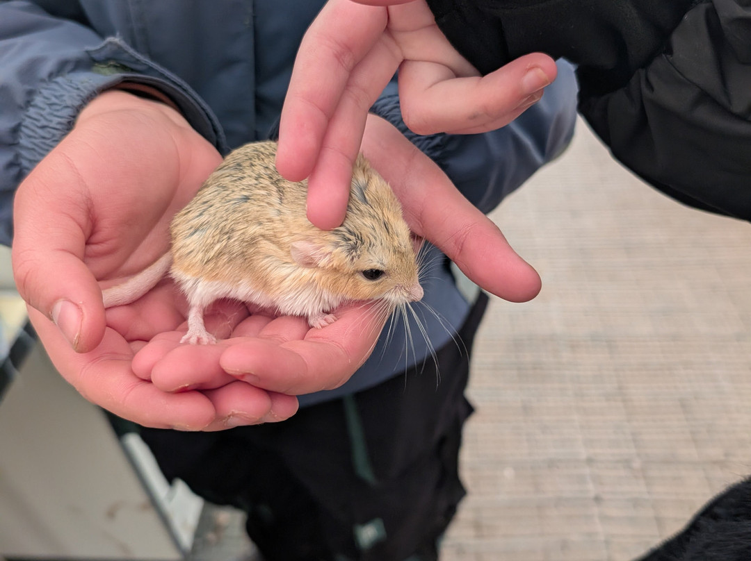 Holmes Chapel Zoo-Holmes Chapel必去景点