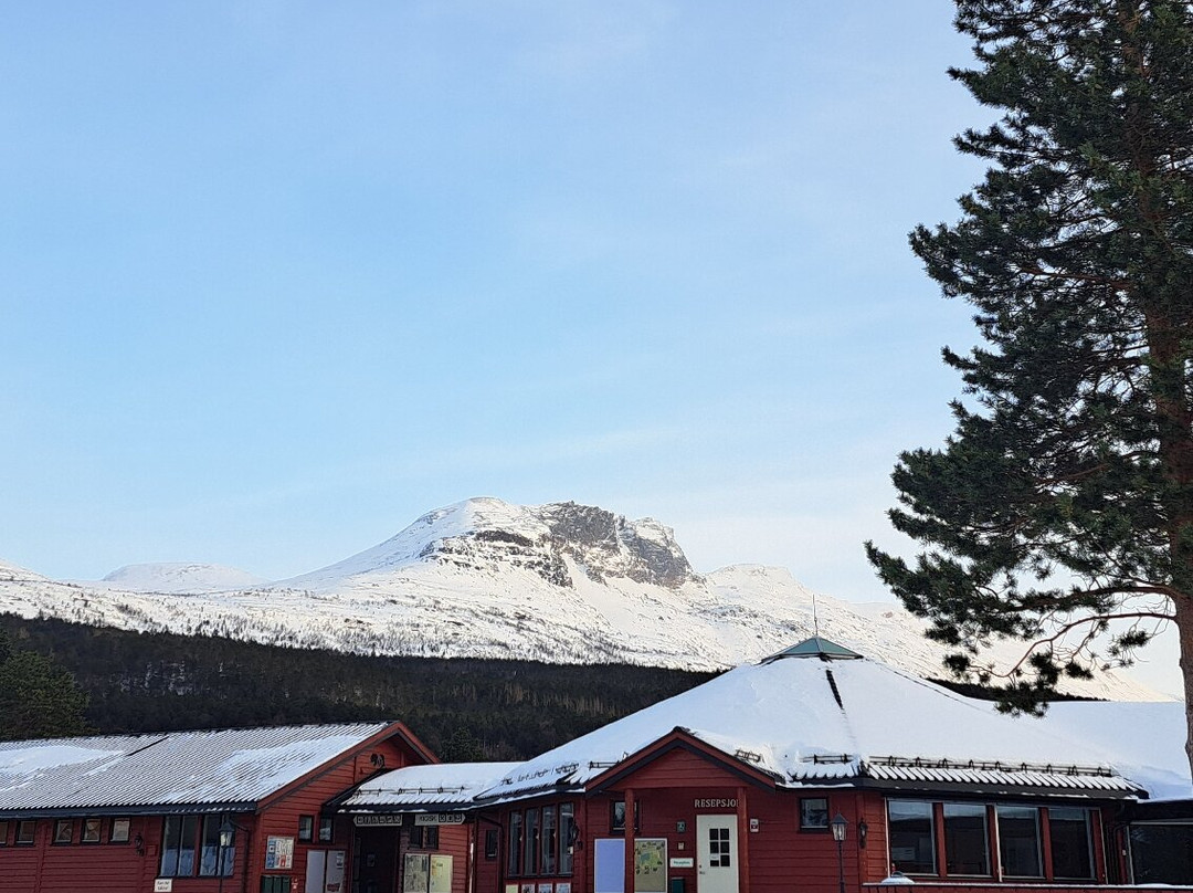 Olderelv Camping Skibotn主图