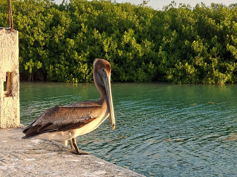 Pixan Ka'an-图伦必去景点