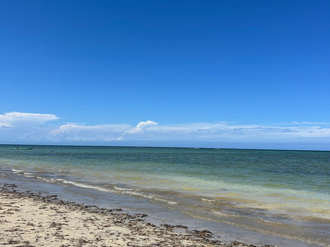 Tassimirim Beach-Ilha de Boipeba必去景点