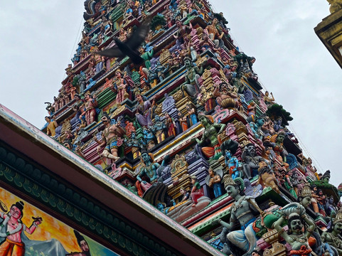 Ceylon Tour Way-Rathgama必去景点