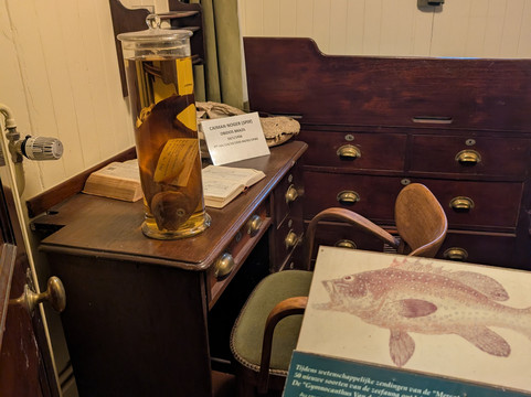 Mercator-奥斯坦德必去景点