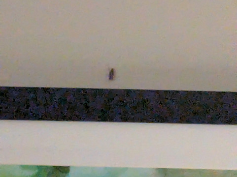 棕榈湾墨尔本I-95凯艺酒店主图