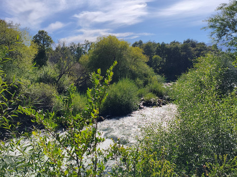 河滨旅馆酒店主图