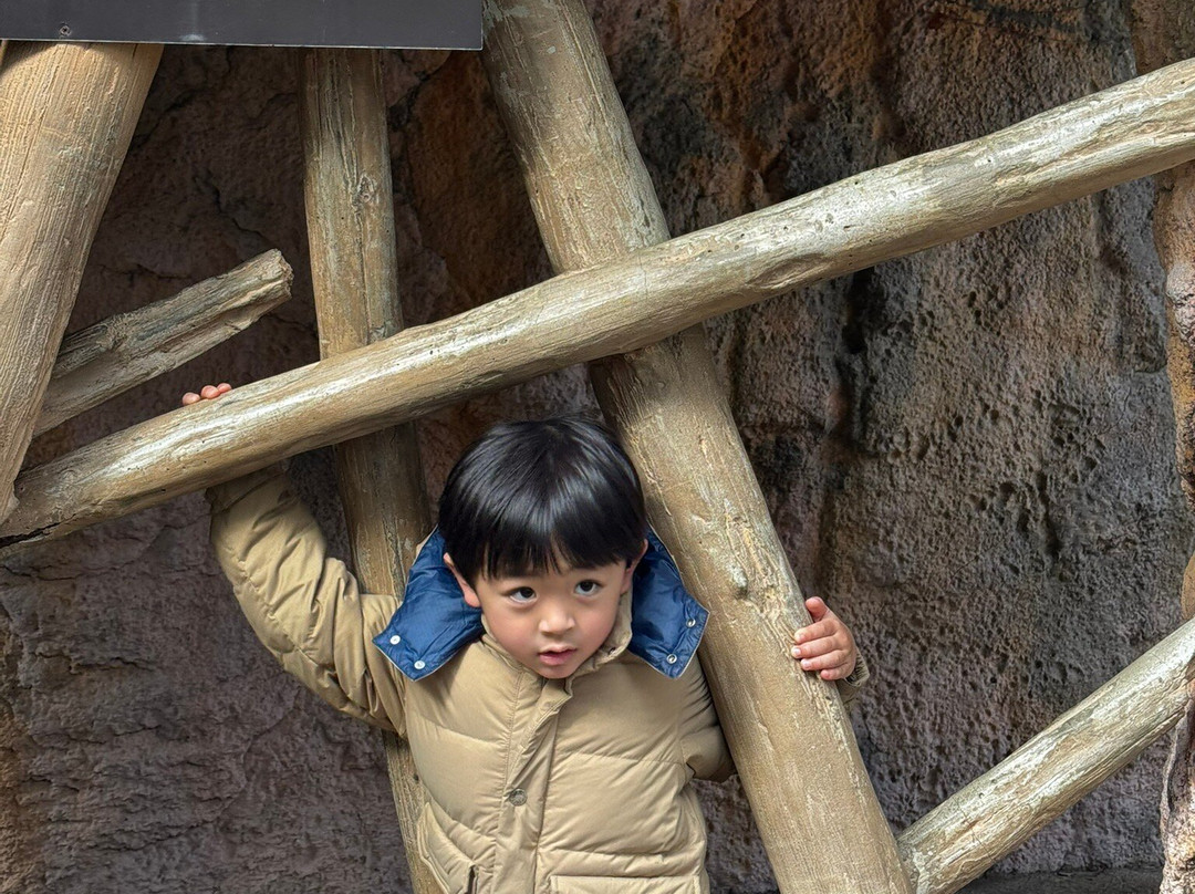 八木山动物公园-仙台市必去景点