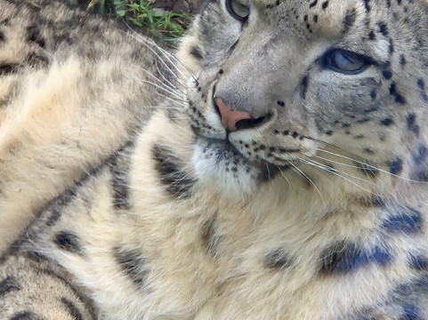 Marwell Zoo-温彻斯特必去景点