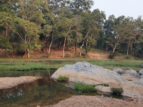 Kanha Jungle Lodge主图