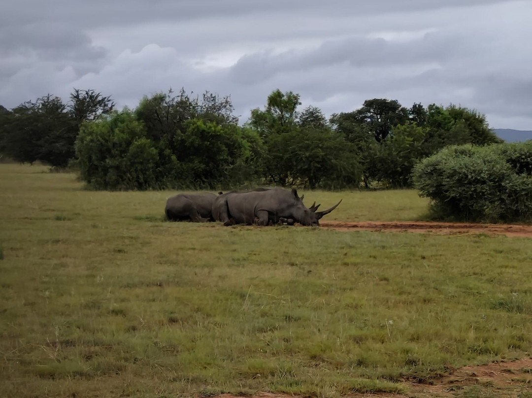 Loisico Tours and Excursions-Bloubergstrand必去景点