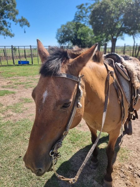 Estancia Hosteria El Ceibo-官方