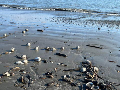 Oyhut Wildlife Recreation Area